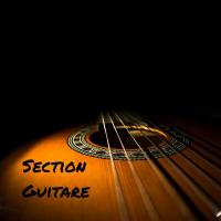 Sectionguitarebrut